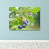 ブルーベリー作物 キャンバスプリント (インサイチュ (ウッドフロア))