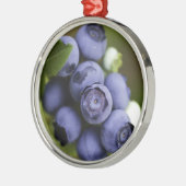 ブルーベリー愛好家 メタルオーナメント (左)