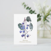 ブルーベリー果実手描き水彩画 ポストカード (スタンド正面)