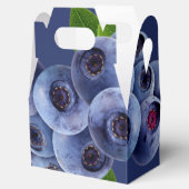 ブルーベリー果実 フェイバーボックス (オープン)