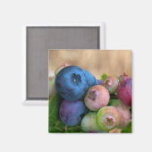 ブルーベリー磁石 マグネット (正面/裏面)