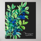 ブルーベリー絵画ズ ポスター (正面)