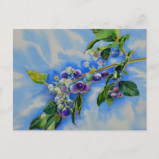 ブルーベリー絵画水彩絵葉書 ポストカード (正面)