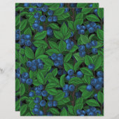 ブルーベリー (正面/裏面)