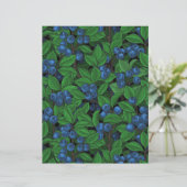 ブルーベリー (スタンド正面)