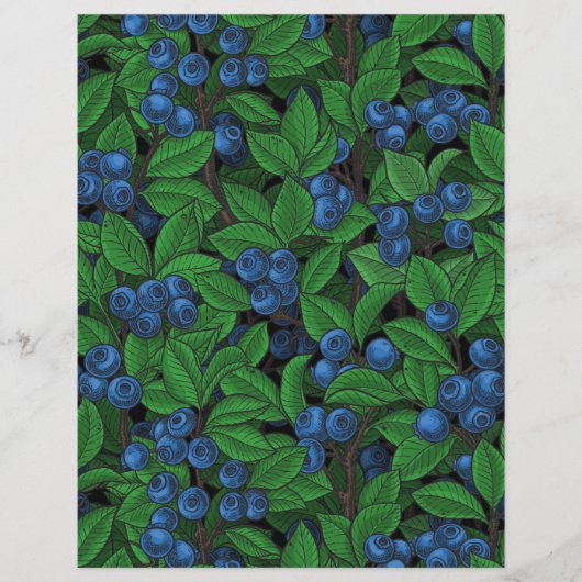 ブルーベリー (正面)