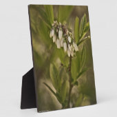 ブルーベリー585 フォトプラーク (側面)