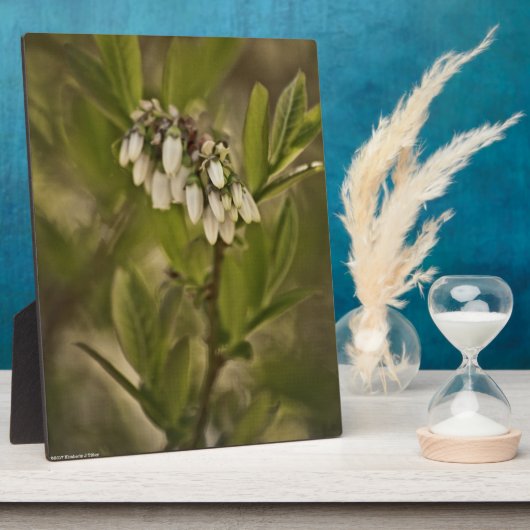 ブルーベリー585 フォトプラーク (側面)