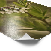 ブルーベリー585 フォトプリント            (角)