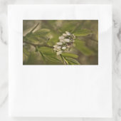 ブルーベリー585 長方形シール (バッグ)