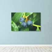 ブルーベリー キャンバスプリント (インサイチュ (ウッドフロア))