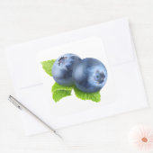 ブルーベリー スクエアシール (封筒)