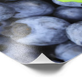 ブルーベリー フォトプリント            (角)