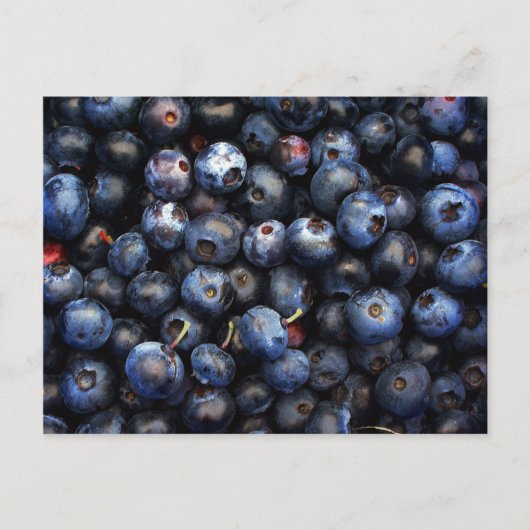 ブルーベリー ポストカード (正面)