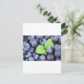 ブルーベリー ポストカード (スタンド正面)