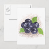 ブルーベリー ポストカード (正面/裏面)