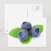 ブルーベリー ポストカード (正面/裏面)