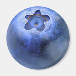 ブルーベリー マグネット