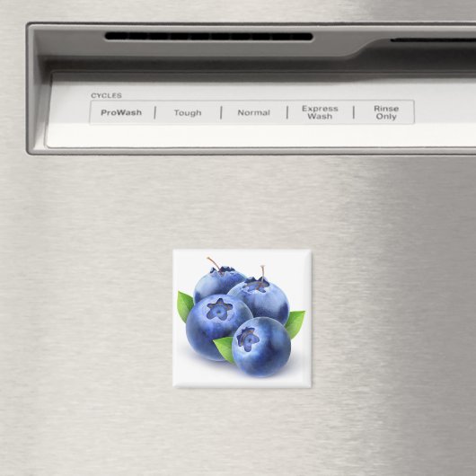 ブルーベリー マグネット (インサイチュ (食洗機))