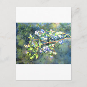 ブルーベリー、ロマンチックなフルーツウォーター絵画カラー ポストカード