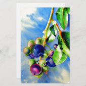 ブルーベリー 便箋 (正面/裏面)