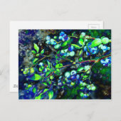 ブルーベリー – 緑の色相 ポストカード (正面/裏面)