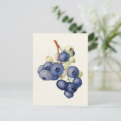 ブルーベリー(Vaccinium Corymbosum)フルーツ絵画ズ ポストカード (スタンド正面)