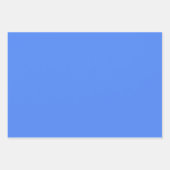 ブルーベリ無地のー色 ラッピングペーパーシート (正面3)