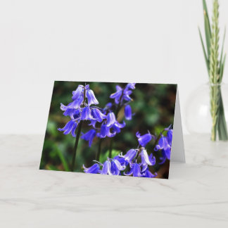 ブルーベルが破砕された カード