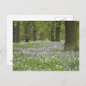 ブルーベルとオークの木々の春、リトルハグリー ポストカード (正面/裏面)