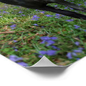 ブルーベルのブラックフリシアンマーレとフォール ポスター (角)