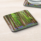 ブルーベルの春 コースター (左側)