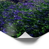 ブルーベルの森のフローラモダンの美エレガント美 ポスター (コーナー)