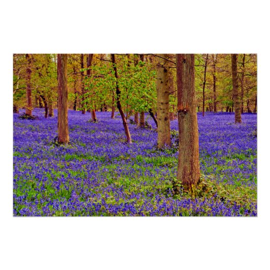 ブルーベルウッズグレーズコートオックスフォードシャーイングランド ポスター (正面)