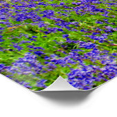 ブルーベルウッズグレーズコートオックスフォードシャーイングランド ポスター (コーナー)