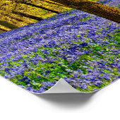 ブルーベルウッズ春の花グレーズコート ポスター (角)