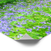 ブルーベルウッズ ポスター (角)