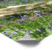 ブルーベルウッズ ポスター (角)