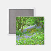 ブルーベルウッズ マグネット (正面/裏面)