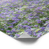 ブルーベルウッズII ポスター (角)