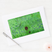 ブルーベルウッドヘッジホグスグリーン 長方形シール (封筒)