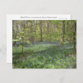 ブルーベルウッドポイントンチェシャ ポストカード (正面/裏面)