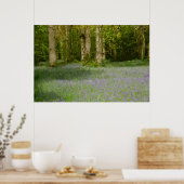 ブルーベルウッド2 ポスター (キッチン)