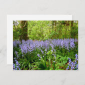 ブルーベルウッド～ポストカード ポストカード (正面/裏面)