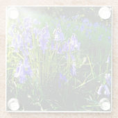 ブルーベルガラスのコースター ガラスコースター (裏面)