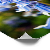 ブルーベルズブルーベル春の花 ポスター (角)