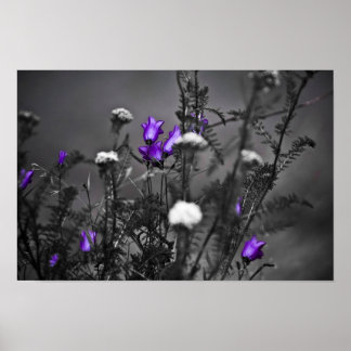 ブルーベルズムグショットプリント ポスター