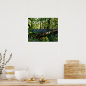 ブルーベルフォレストワイルドフラワーフォトアート ポスター (キッチン)