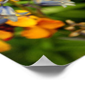 ブルーベルブルーベル春の花ヒアシントヒデス ポスター (角)