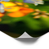 ブルーベルブルーベル春の花ヒアシントヒデス ポスター (角)